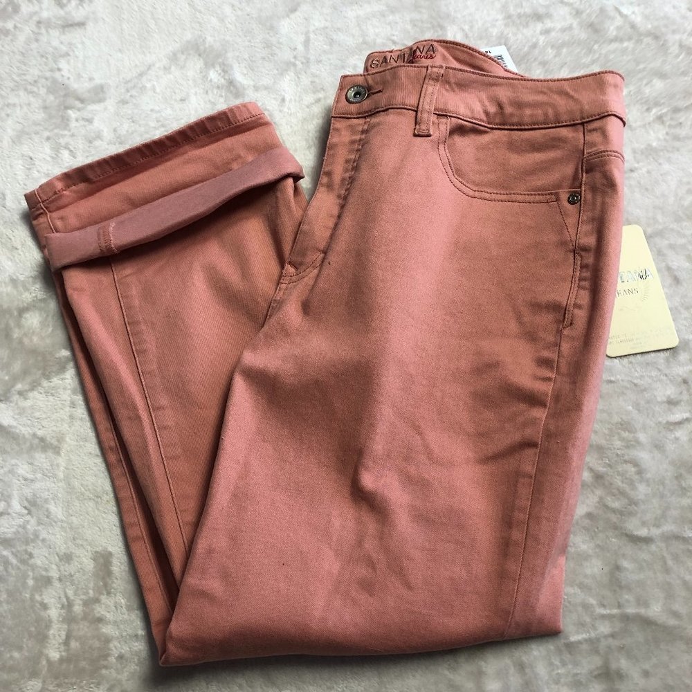 NWT Santana Dusty Rose Classic Fit With Tummy Control Mid Rise Denim Jeans